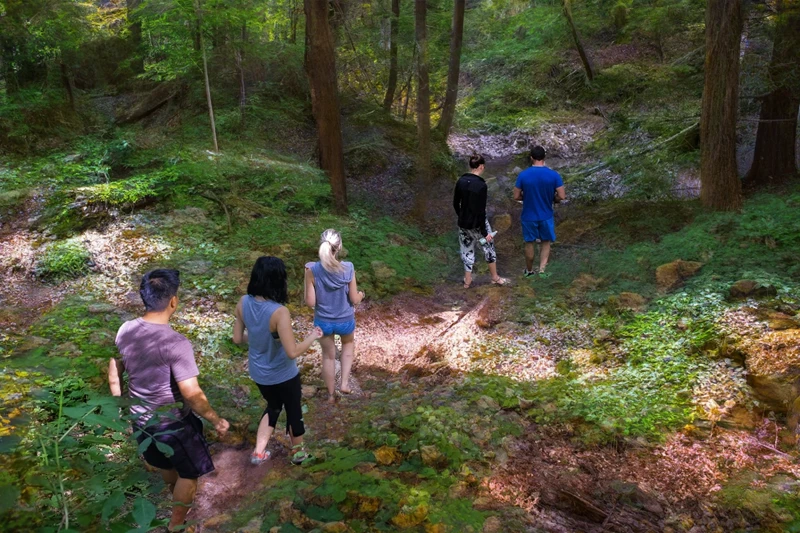 Hiking at Beamer Falls