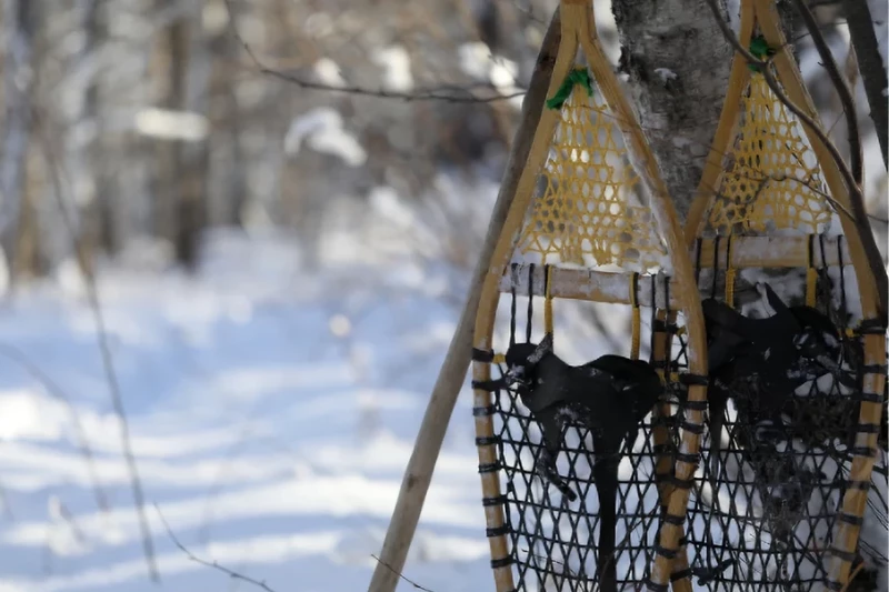 Snowshoeing